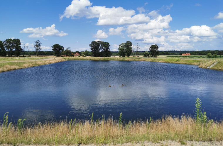 Bild: © Isabella Draber Regenrückhaltebecken in Wallenhorst, Bildquelle: © Isabella Draber